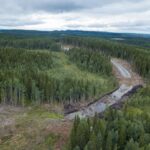 Den gröna kollapsen: Staten förstör inte bara naturen. Den förstör också en fri marknad